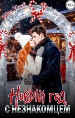 обложка книги Ива Улей "Новый год с незнакомцем"
