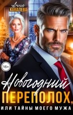 обложка книги Анна Ковалева "Новогодний переполох, или Тайны моего мужа"