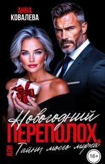 обложка книги Анна Ковалева "Новогодний переполох, или Тайны моего мужа"