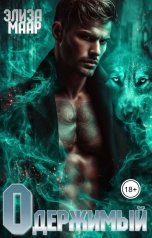 обложка книги Элиза Маар "Одержимый"