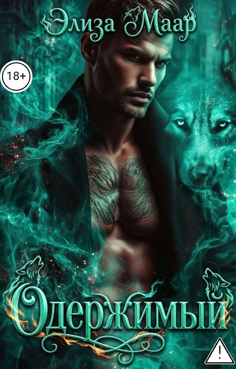 Обложка книги Элиза Маар Одержимый
