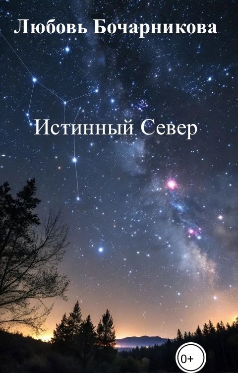 Обложка книги Любовь Бочарникова Истинный Север
