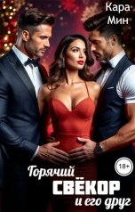 обложка книги Кара Мин "Горячий свёкор и его друг"