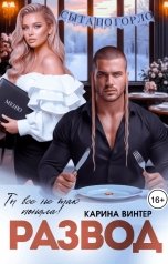 обложка книги Карина Винтер "Развод. Ты все не так поняла!"