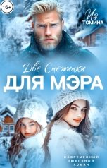 обложка книги Ия Томина "Две снежинки для мэра"