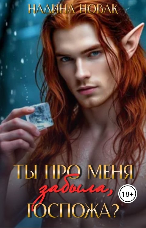 Обложка книги Надина Новак Ты про меня забыла, госпожа?