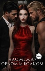 обложка книги Холли Гейз "Час между орлом и волком"