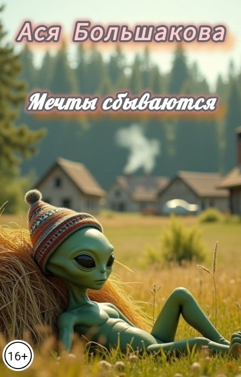 Обложка книги Ася Большакова Мечты сбываются