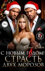 обложка книги Саша Вайт "С новым гАдом! Страсть двух морозов"