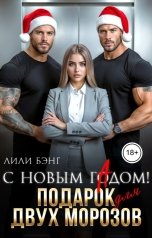 обложка книги Лили Бэнг "С Новым гАдом! Подарок для двух Морозов"