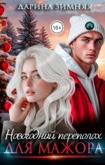 обложка книги Дарина Зимняя "Новогодний переполох для мажора"