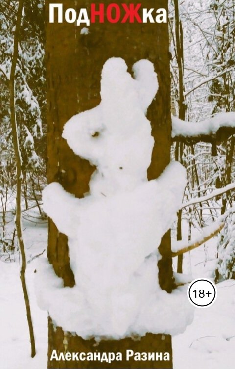 Обложка книги Александра Разина Подножка