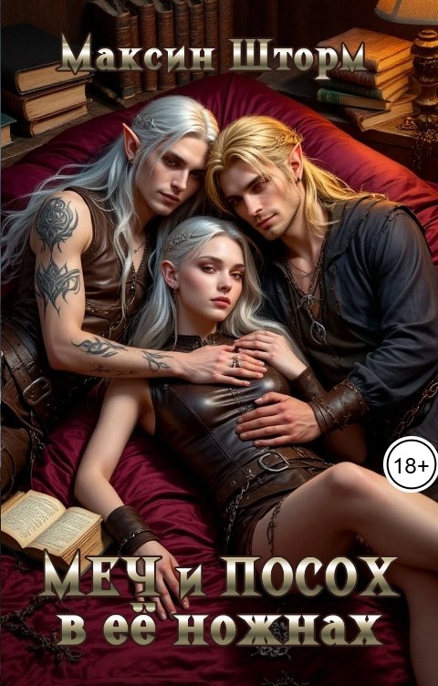 Обложка книги Максин Шторм Меч и посох в её ножнах