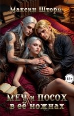 обложка книги Максин Шторм, Регина Птица "Меч и посох в её ножнах"