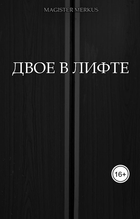 Обложка книги Magister Merkus Двое в лифте