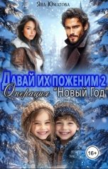 обложка книги Яна Юматова "Давай их поженим - 2. Операция "Новый год""
