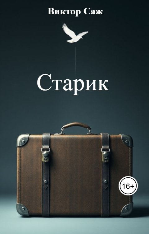 Обложка книги Виктор Саж Старик