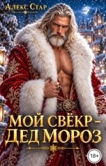 обложка книги Алекс Стар "Мой свёкр -  Дед Мороз"
