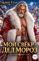 обложка книги Алекс Стар "Мой свёкр -  Дед Мороз"