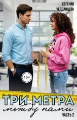 обложка книги Евгения Черданцева "Три метра между нами-2"