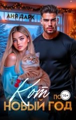 обложка книги Аня Дарк "Кот под Новый год"