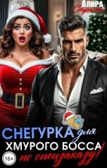 обложка книги Алира Страсть "Снегурка для хмурого босса по спецзаказу!"