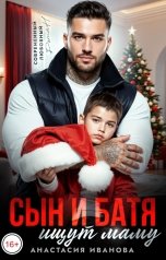 обложка книги Анастасия Иванова "Сын и батя ищут маму"