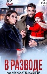 обложка книги Анна Грин "В разводе. Нам не нужна твоя фамилия"