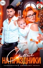 обложка книги Лада Соль "Семья на праздники"