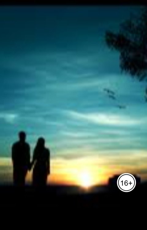 Обложка книги aliyevrafiq013 Временный брак - Мута