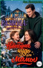 обложка книги Яна Дмитриева "После развода: Новогоднее чудо для мамы"
