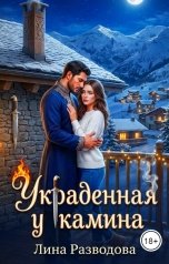обложка книги Лина Разводова "Украденная у камина"