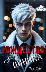 обложка книги TasShir "Рождество для циника"