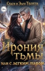 обложка книги Стаси и Элен Твенти "Ирония тьмы, или С легким паром"
