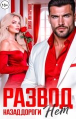 обложка книги Лика Янтарная "Развод. Назад дороги Нет!"