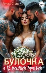 обложка книги Алекс Стар "Булочка и 12 (месяцев) братьев"