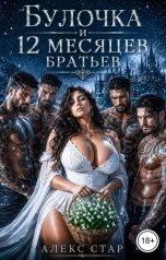 обложка книги Алекс Стар "Булочка и 12 (месяцев) братьев"