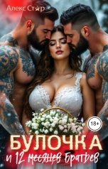 обложка книги Алекс Стар "Булочка и 12 (месяцев) братьев"