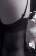 обложка книги Андрей Ланиус "Красота этих чудных ног..."