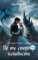 обложка книги Барбара Ли "Когда горит небо: по ту сторону ненависти"