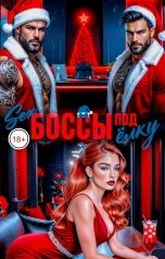 обложка книги Саша Найт "Секс боссы под ёлку"