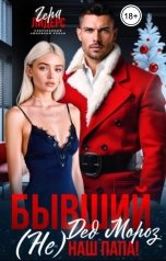 обложка книги Гера Лидерс "Бывший Дед Мороз. (Не) наш папа!"