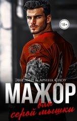 обложка книги Эви Лин "Мажор для серой мышки"