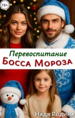 обложка книги Надя Родина "Перевоспитание Босса Мороза"