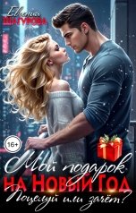 обложка книги Евгения Шагурова "Мой подарок на Новый год. Поцелуй или зачет?"
