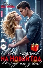 обложка книги Евгения Шагурова "Мой подарок на Новый год. Поцелуй или зачет?"
