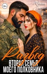 обложка книги Майя Линн "Развод.Вторая семья моего полковника"