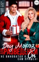 обложка книги Оливия Стилл, Эмми Линн "Дед мороз для разведенки. Не виноватая я... Он сам пришел!"