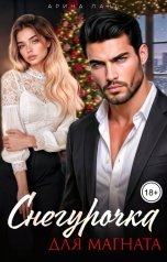 обложка книги Арина Ланц "Снегурочка для магната"