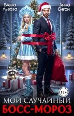 обложка книги Елена Львова, Анна Бигси "Мой случайный Босс-Мороз"